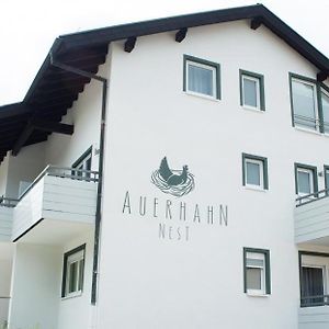 Auerhahn Nest